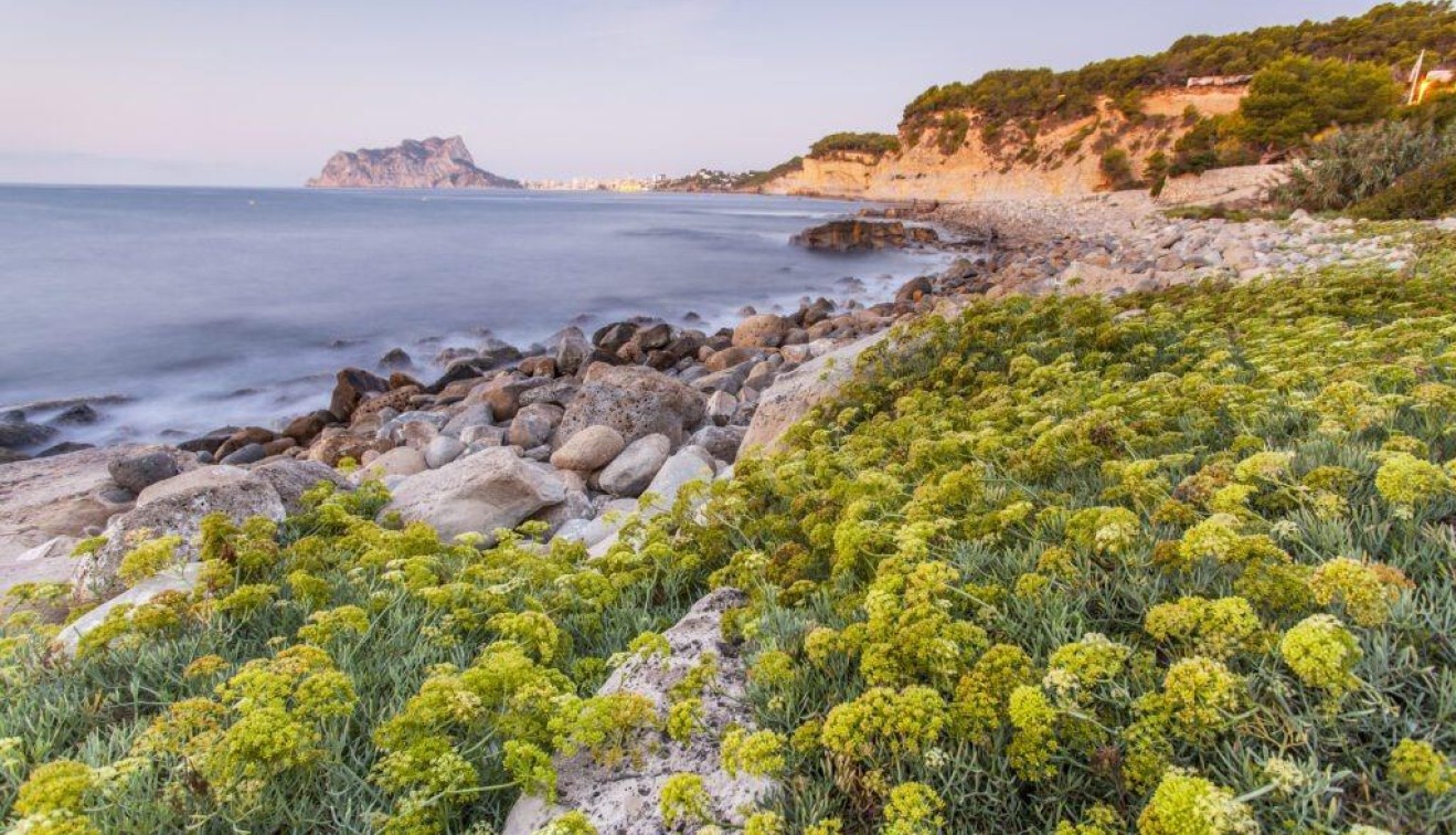 Nowo zbudowane - Willa - Benissa - Cala Advocat