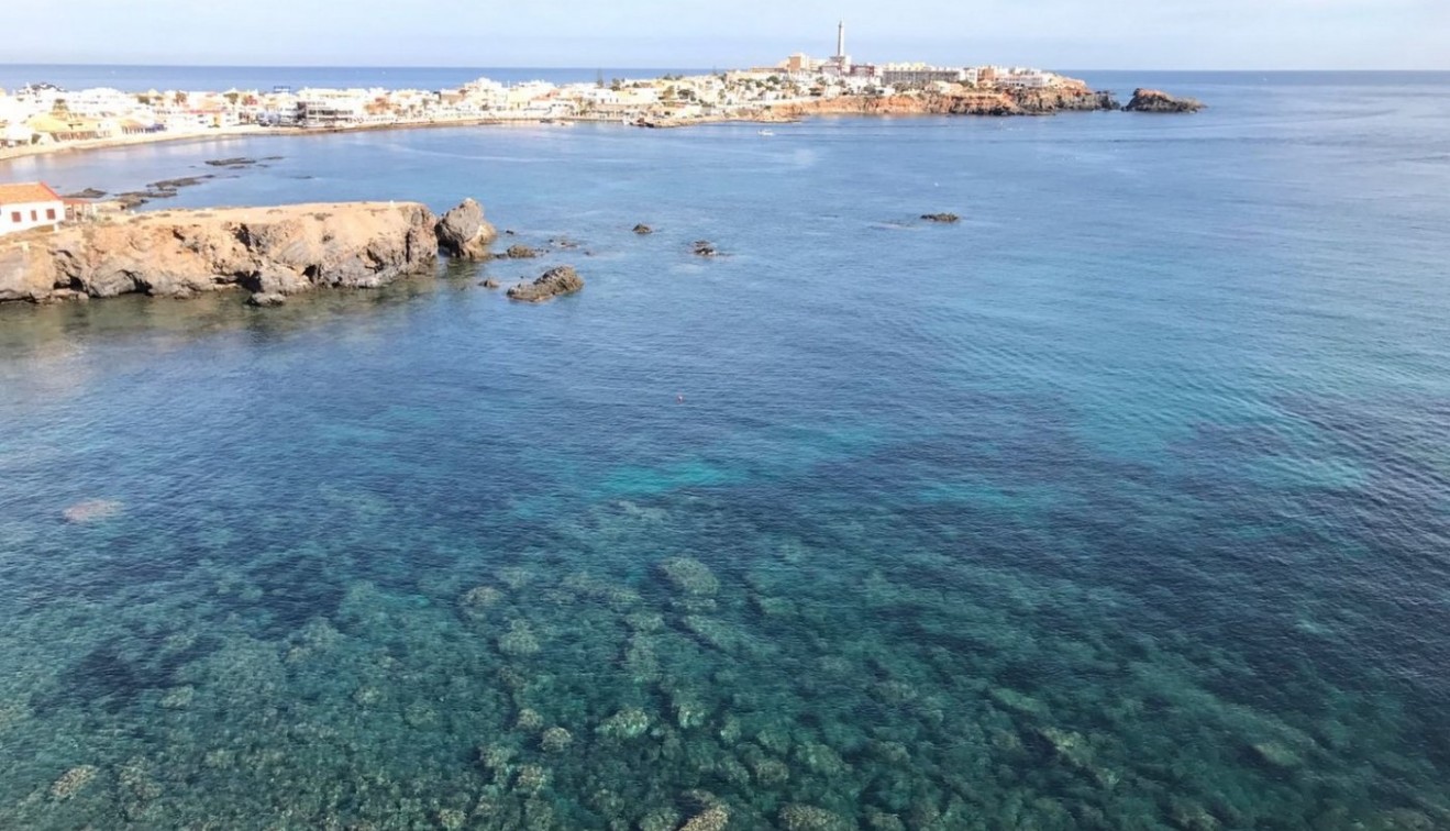 Nowo zbudowane - Willa - Cabo de Palos - Cala medina