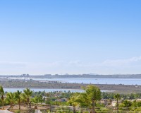 Nowo zbudowane - Willa - Ciudad Quesada - Rojales