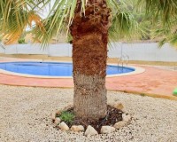 Nowo zbudowane - Willa - La Romana - Villas de la Romana