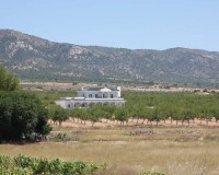 Nowo zbudowane - Willa - Pinoso - Camino Del Prado