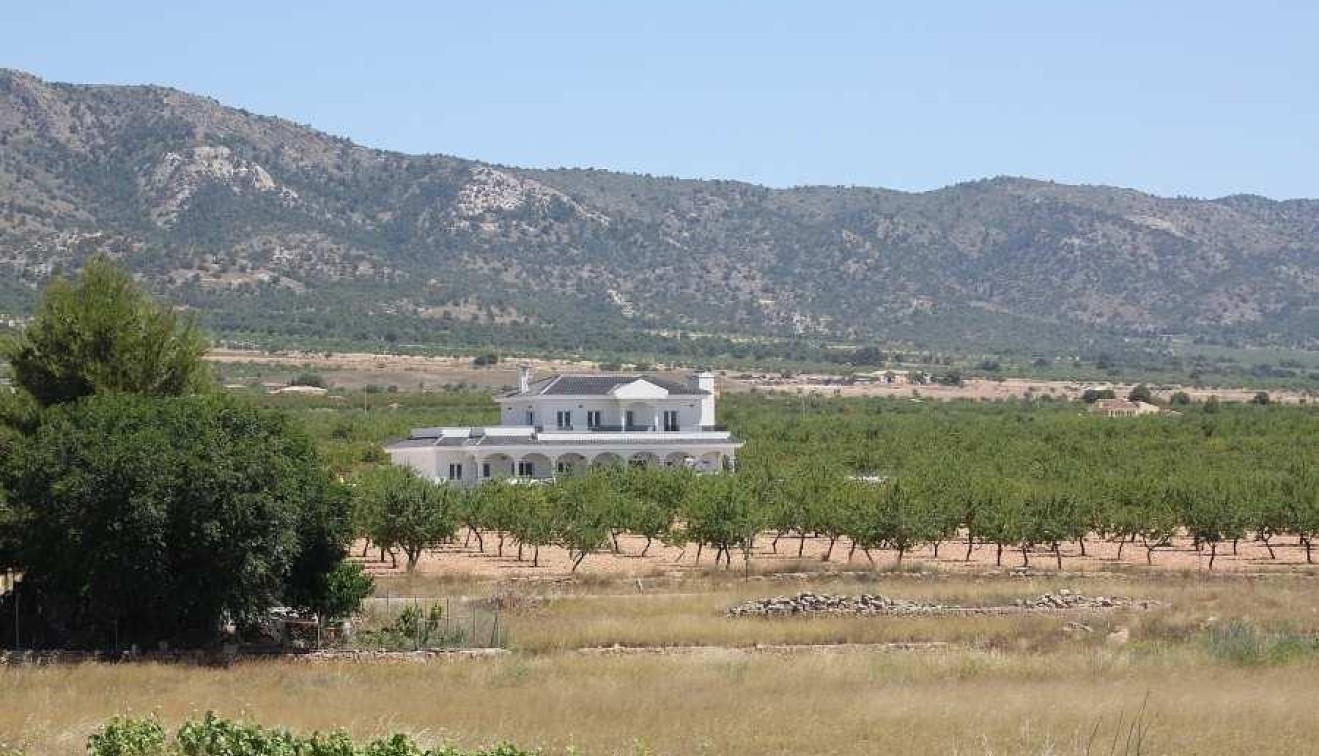 Nowo zbudowane - Willa - Pinoso - Camino Del Prado
