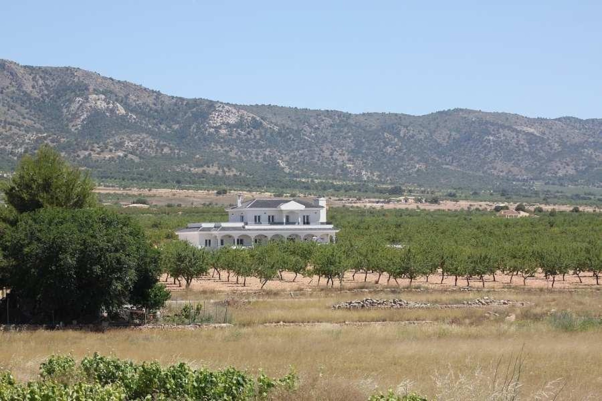 Nowo zbudowane - Willa - Pinoso - Camino Del Prado