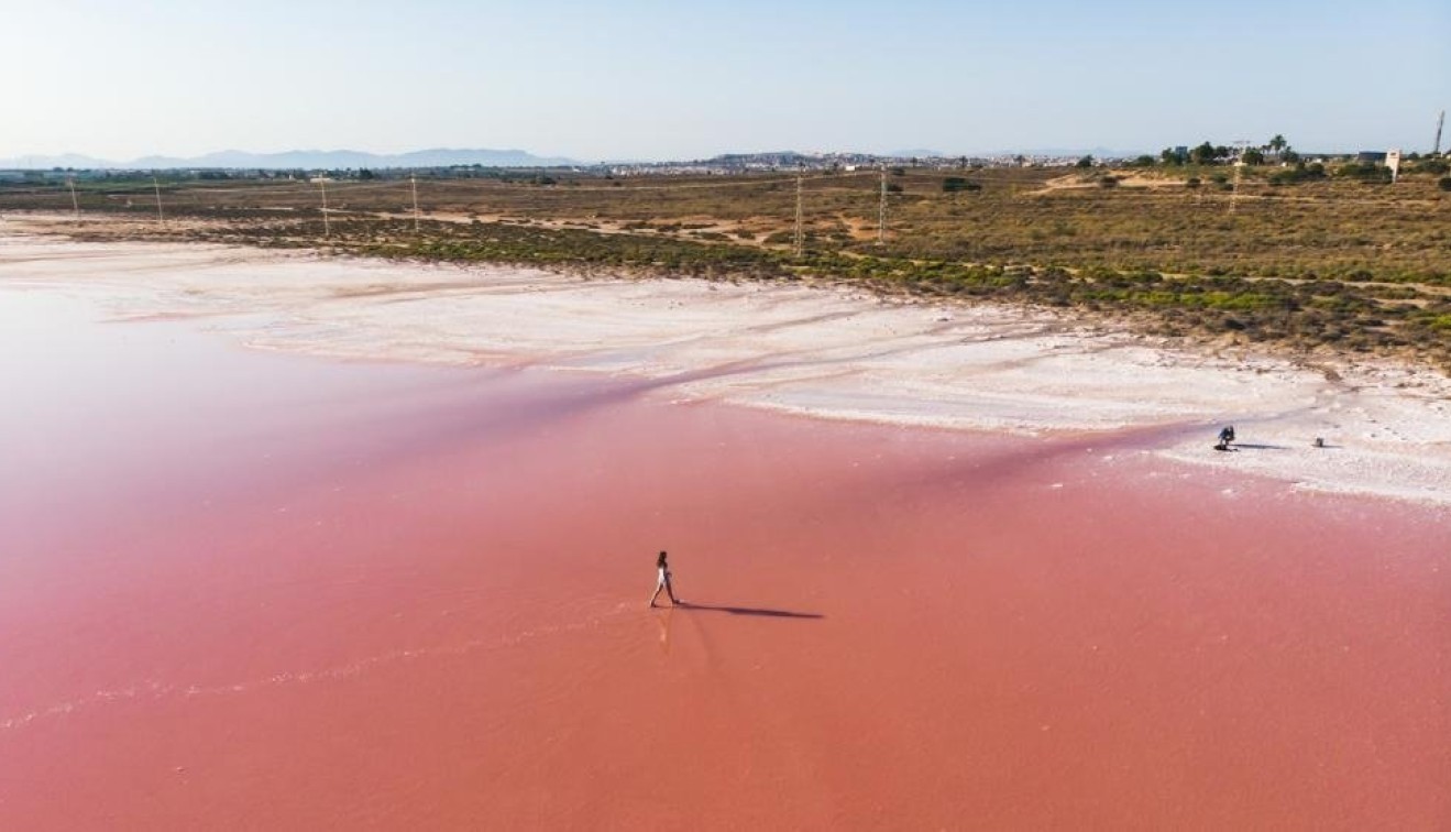 Nowo zbudowane - Willa - Torrevieja - Aguas nuevas 1