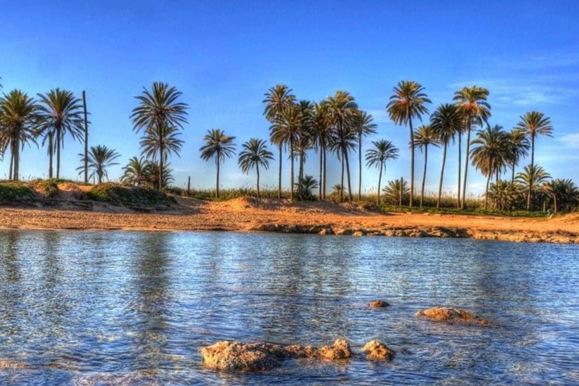 Nueva construcción  - Ático - Torrevieja - Playa de El Cura