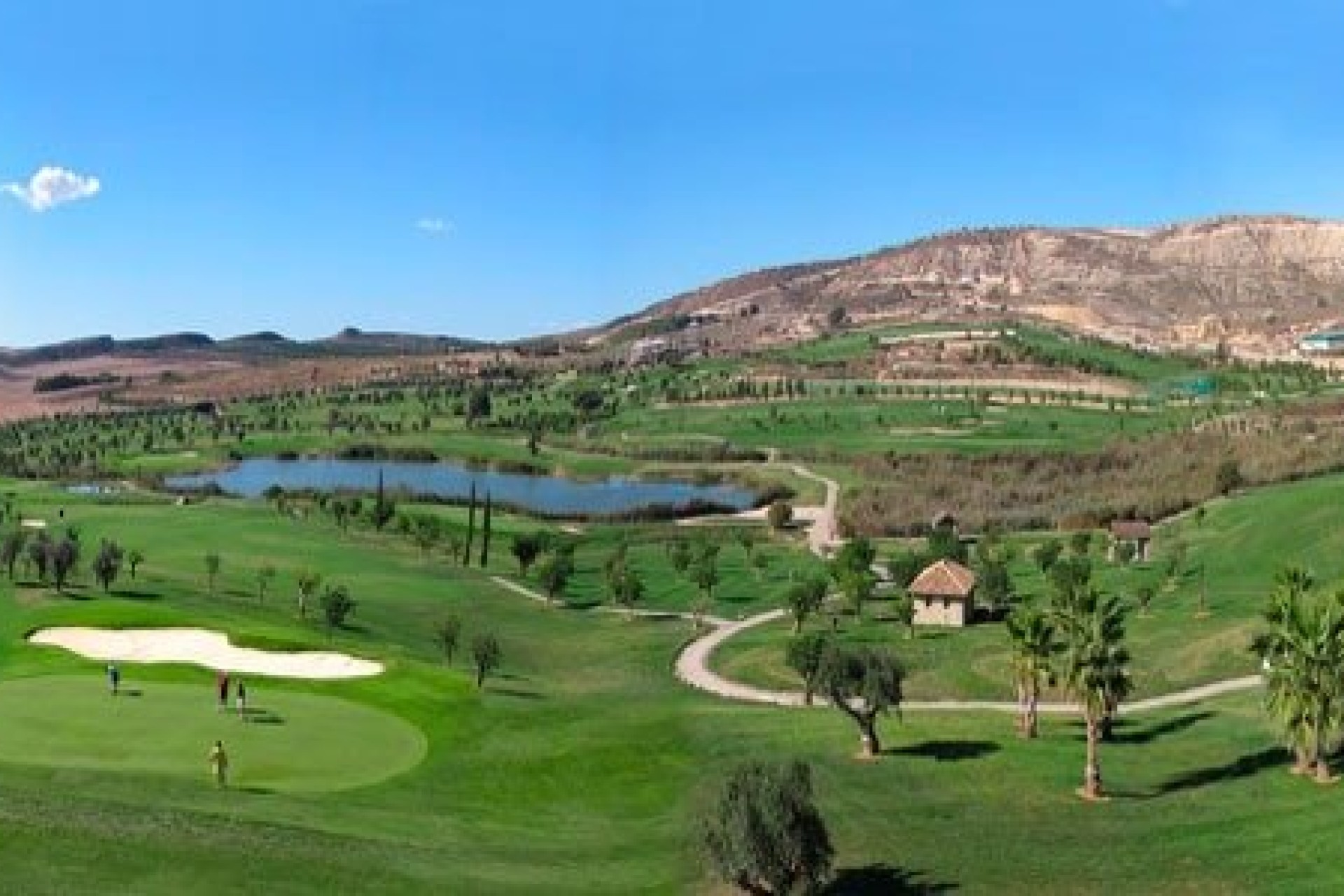 Nueva construcción  - Bungalow - Algorfa - La finca golf