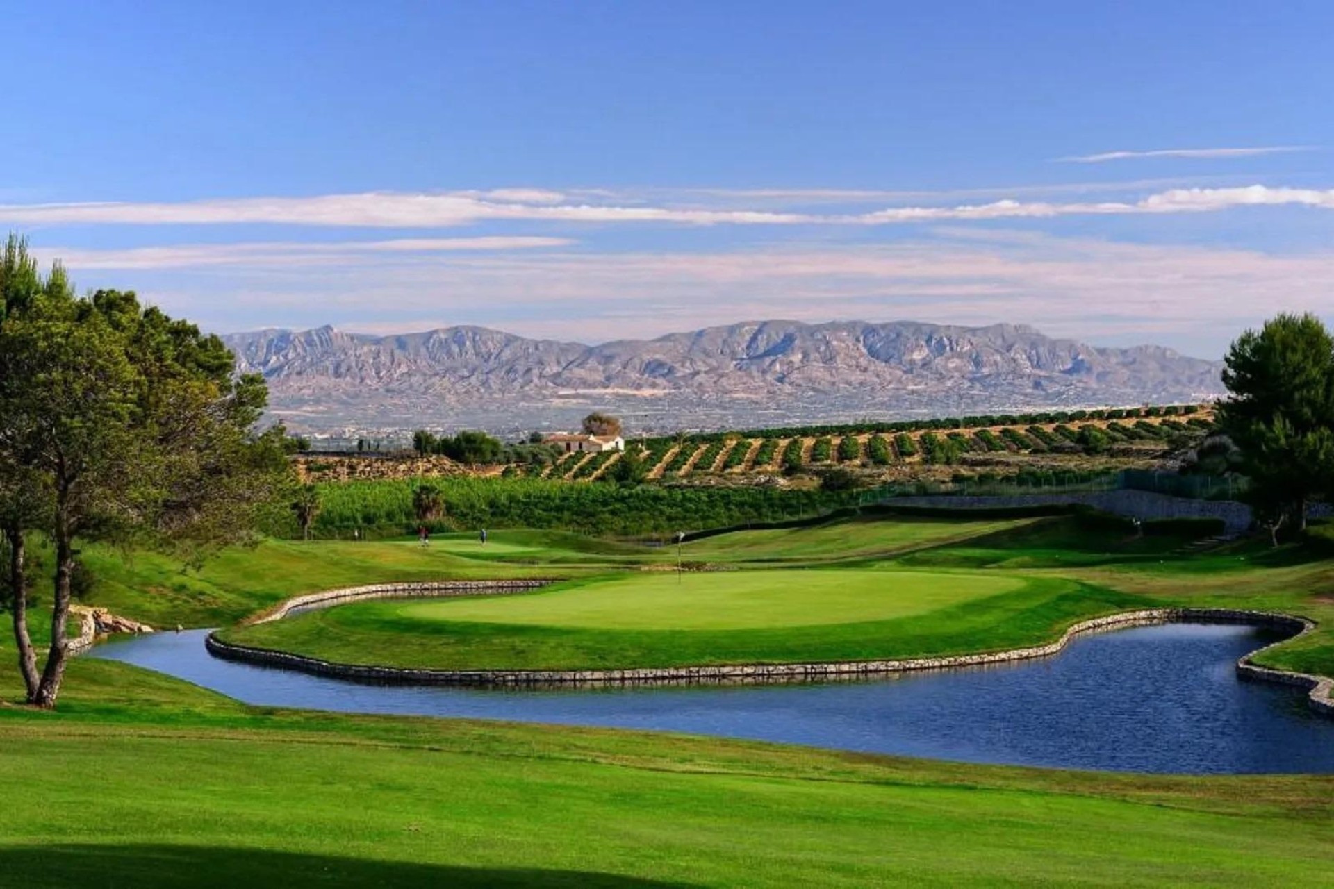 Nueva construcción  - Bungalow - Algorfa - La finca golf