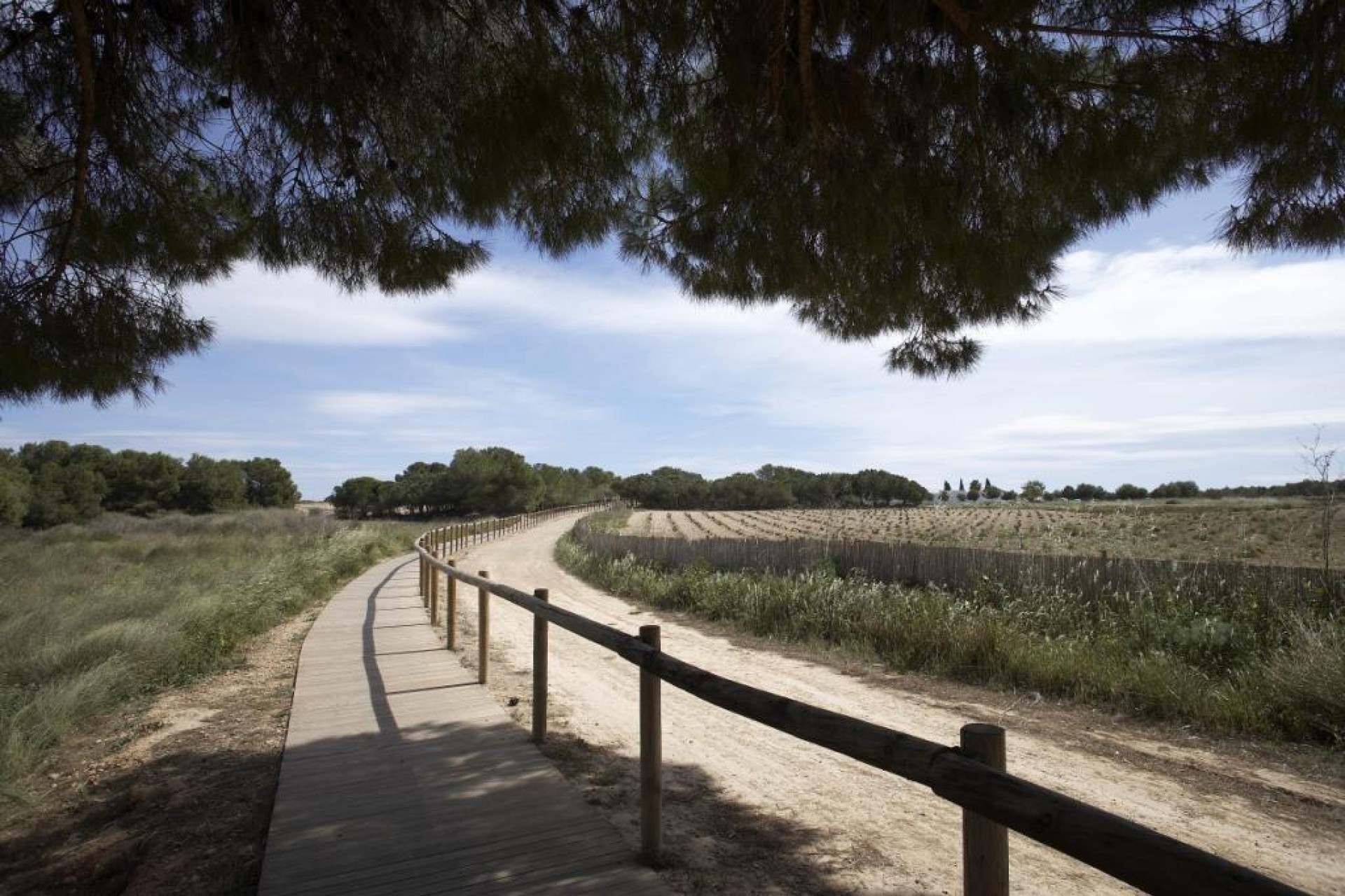 Nueva construcción  - Bungalow - Torrevieja - Altos del Sol