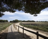 Nueva construcción  - Bungalow - Torrevieja - Altos del Sol