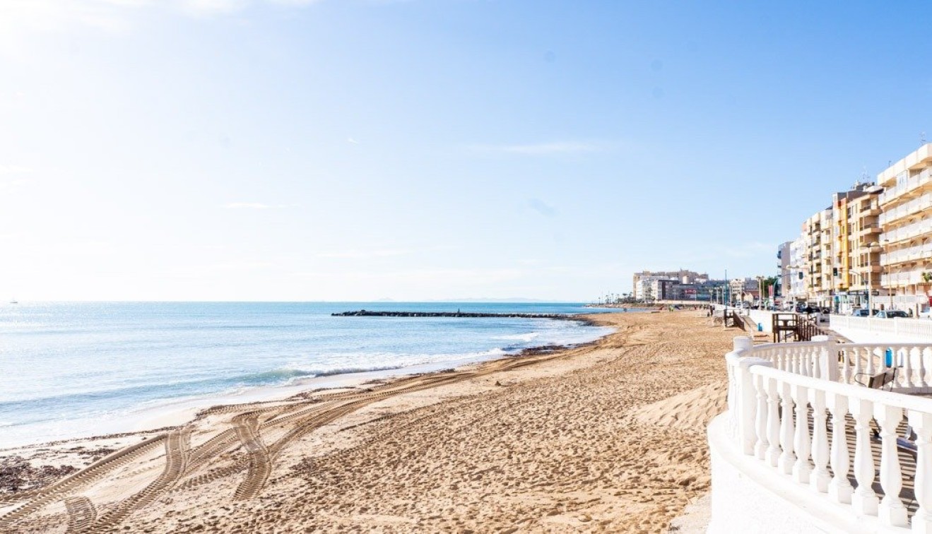 Nueva construcción  - Bungalow - Torrevieja - Lago Jardín II