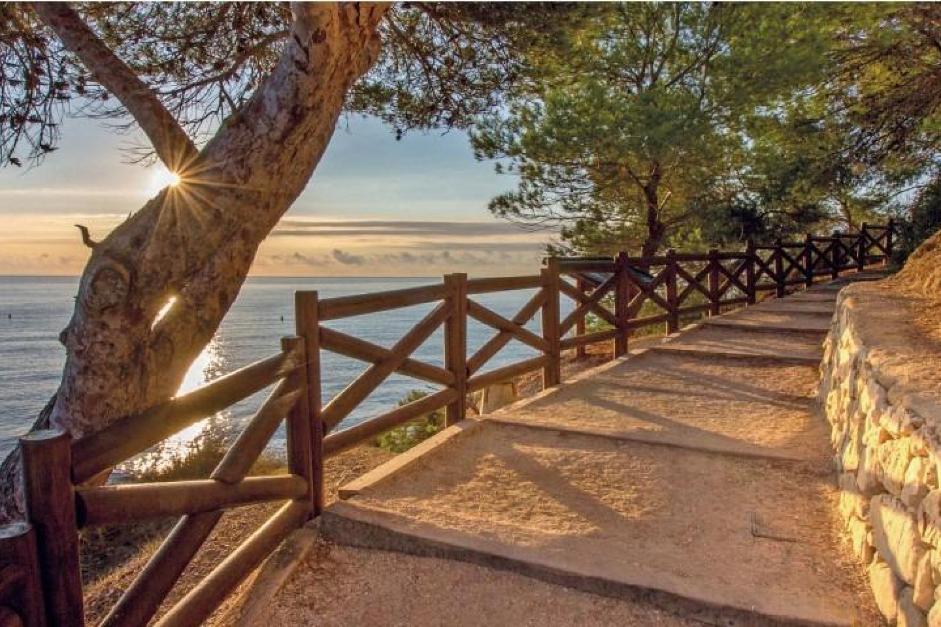 Nueva construcción  - Chalet - Benissa - Cala Advocat