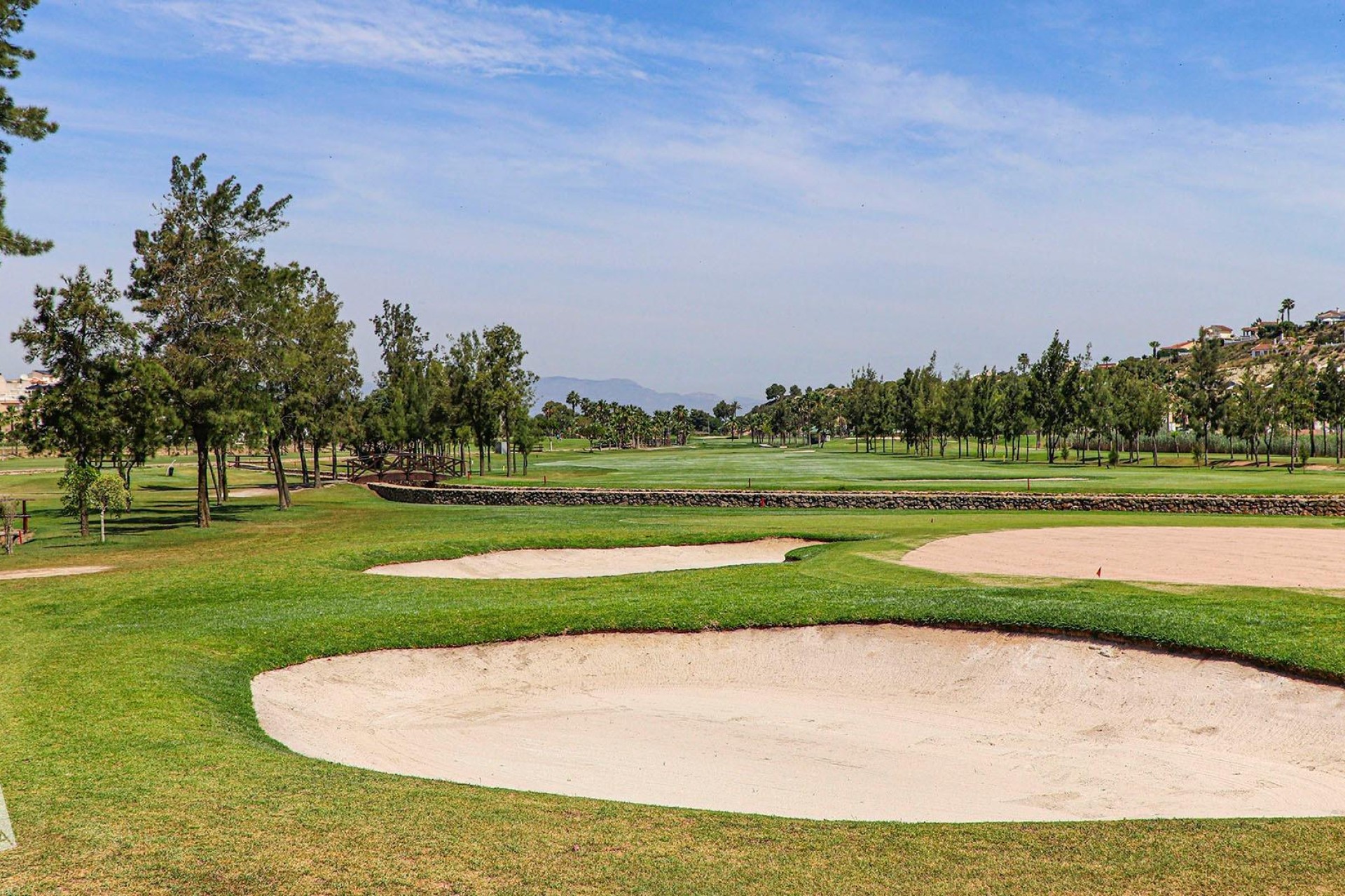 Nueva construcción  - Chalet - Ciudad Quesada - Rojales