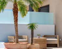 Nueva construcción  - Chalet - Dolores - Sector 3