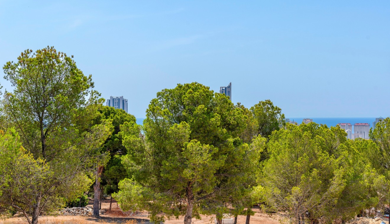 Nueva construcción  - Chalet - Finestrat - Sierra cortina