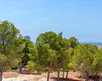 Nueva construcción  - Chalet - Finestrat - Sierra cortina