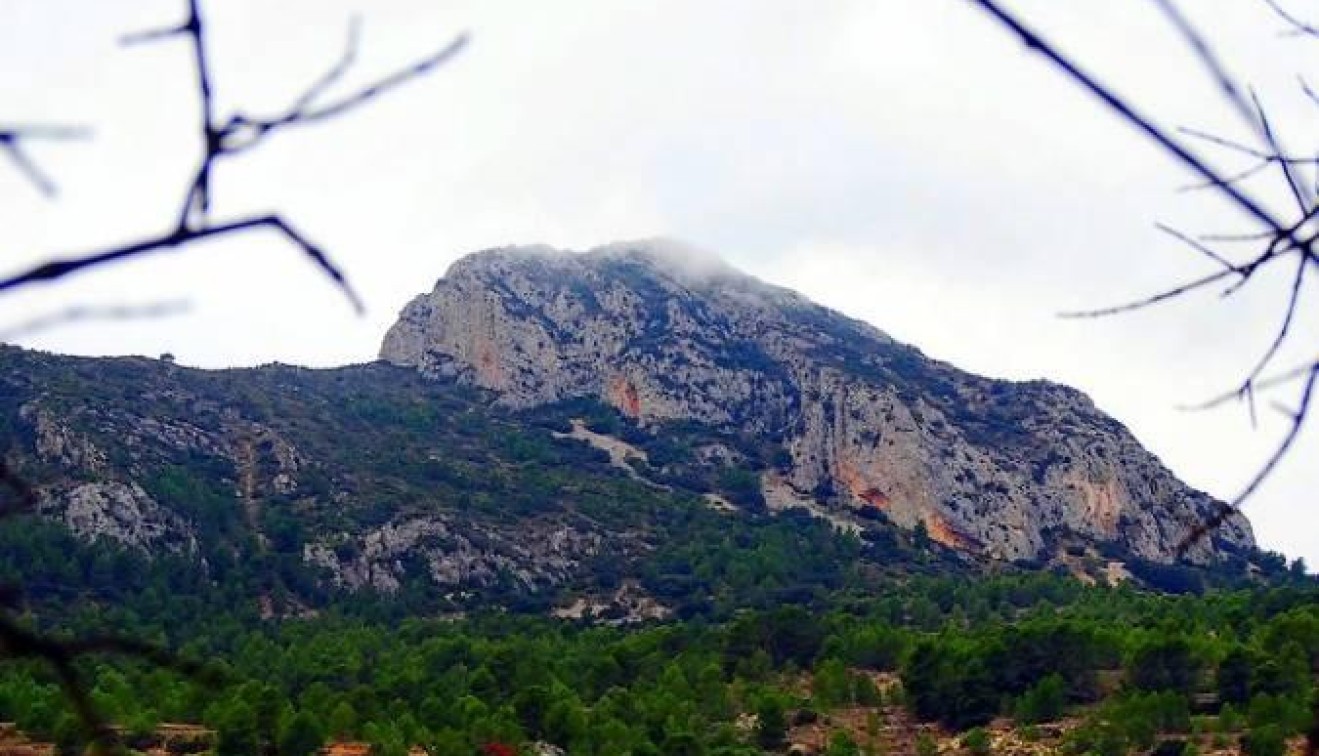 Nueva construcción  - Chalet - La Romana - Batistes