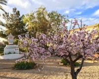 Nueva construcción  - Chalet - LOS URRUTIAS - ESTRELLA DE MAR