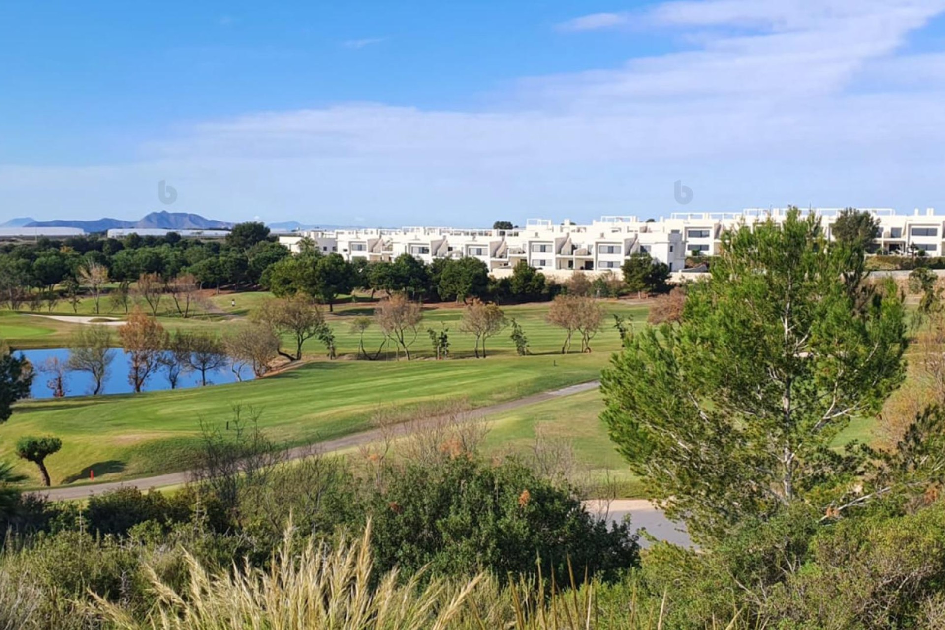 Nueva construcción  - Chalet - Pilar de La Horadada - Lo Romero Golf