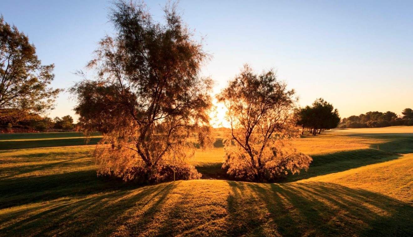 Nueva construcción  - Chalet - Pilar de La Horadada - Lo Romero Golf