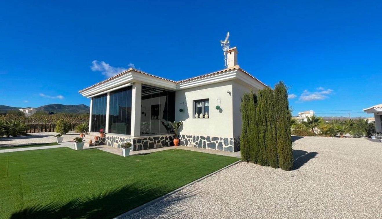 Nueva construcción  - Chalet - Pinoso - Camino Del Prado