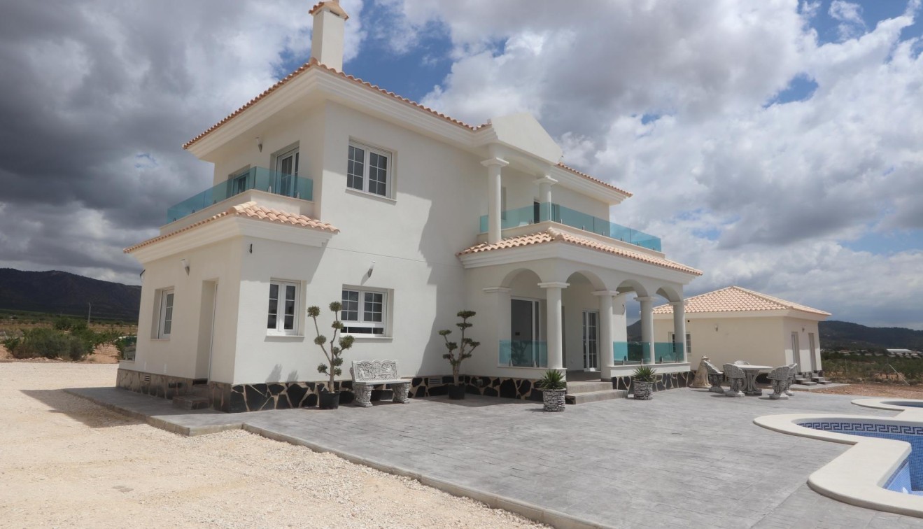 Nueva construcción  - Chalet - Pinoso - Camino Del Prado