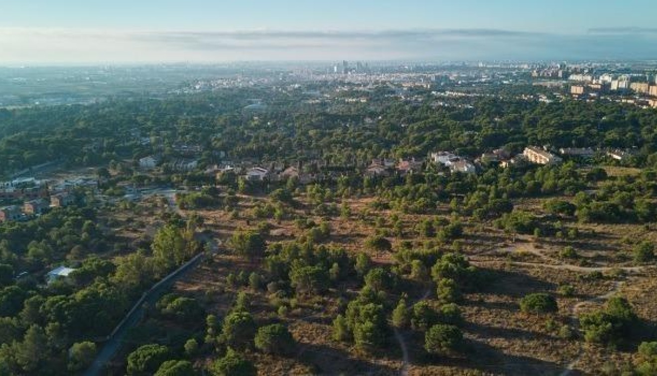 Nueva construcción  - Ground floor apartment - Godella - Campolivar