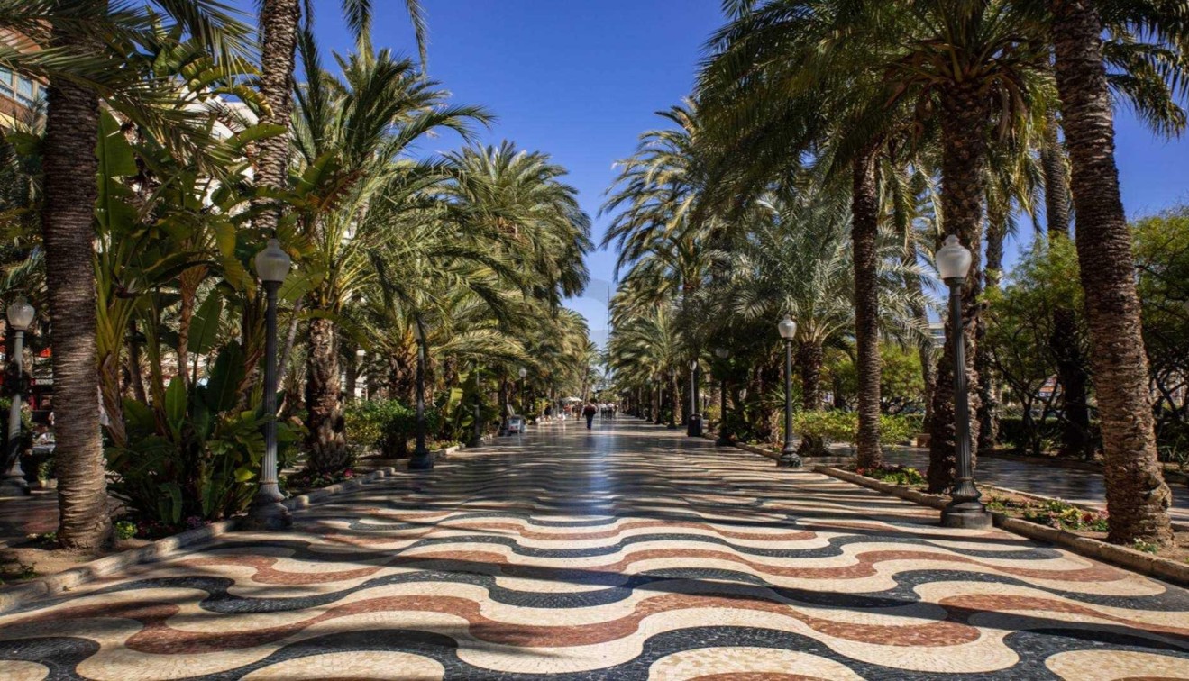 Nueva construcción  - Piso - Alicante - Centro