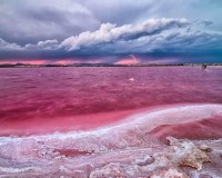 Nueva construcción  - Piso - Torrevieja - Centro