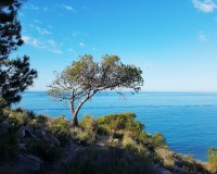 Nueva construcción  - Piso - Villajoyosa - Playa Les Torres