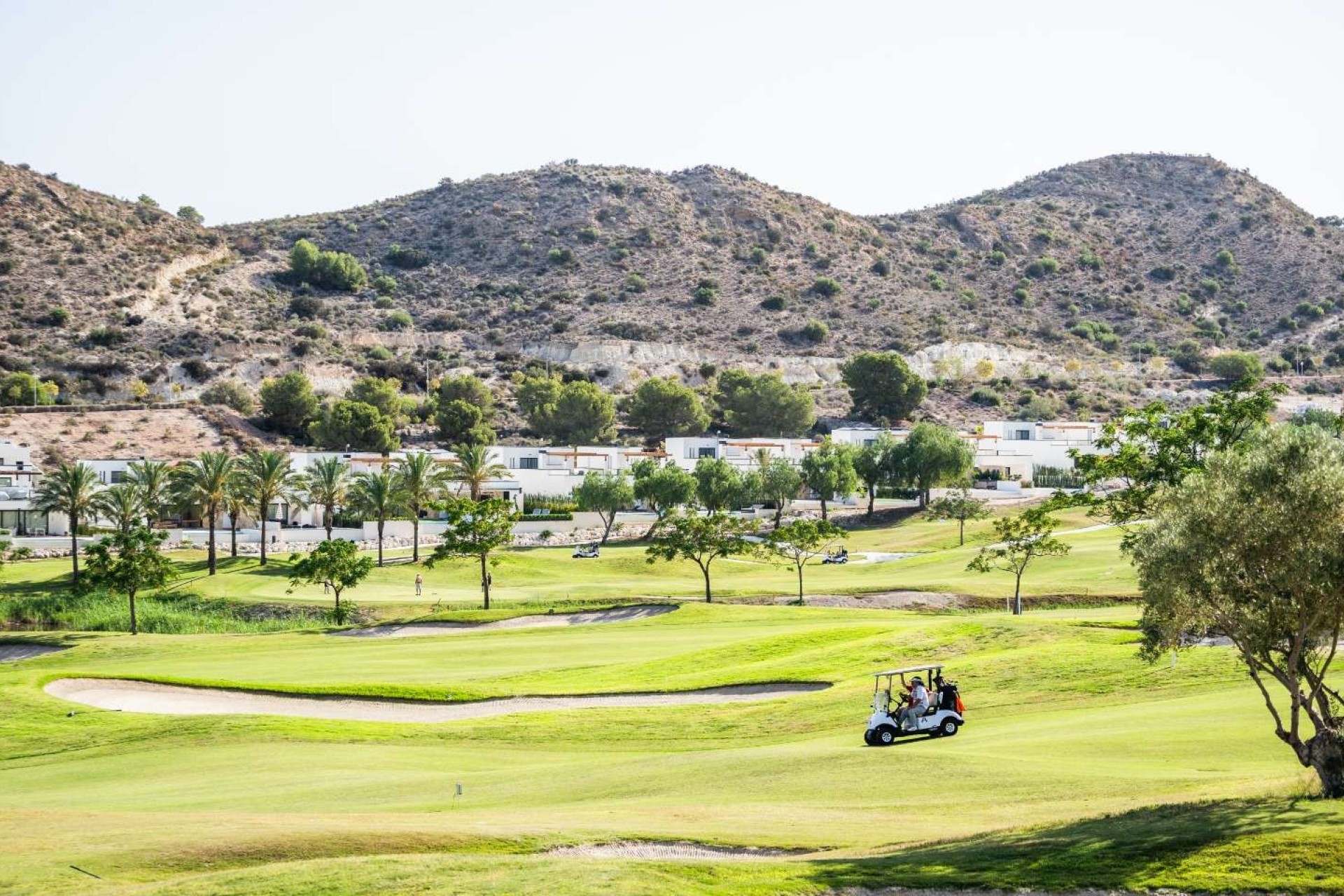 Nueva construcción  - Semi-Detached Villa - Monforte del Cid - Font del Llop
