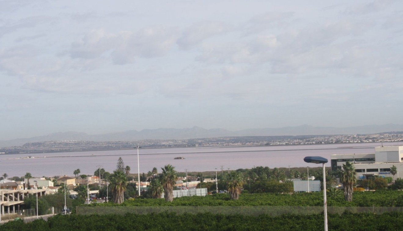 Nueva construcción  - Town House - Torrevieja - Los Altos