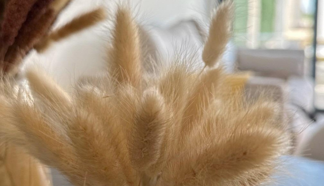 Nybygg - Bungalow - San Fulgencio - Pueblo