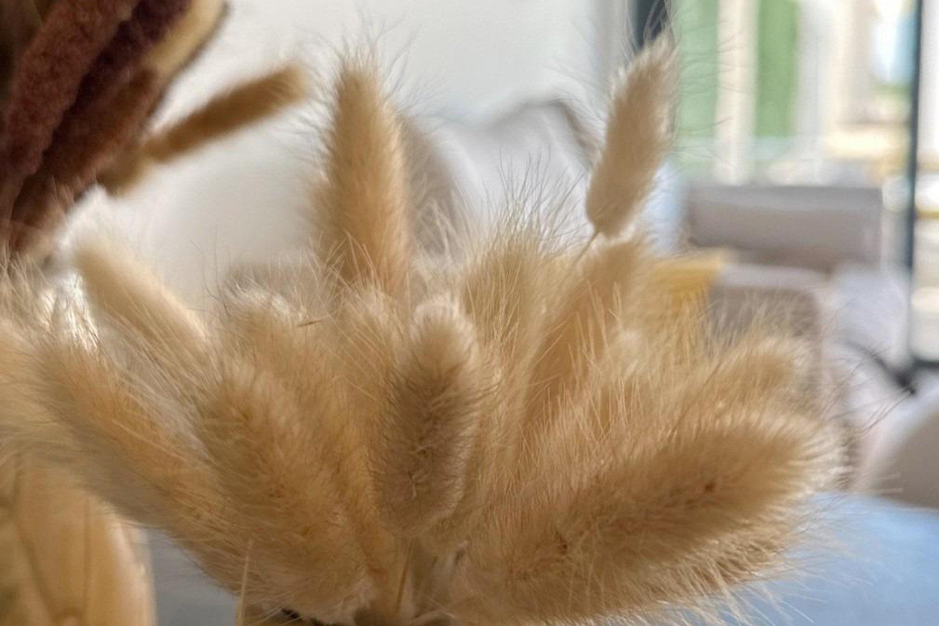 Nybygg - Bungalow - San Fulgencio - Pueblo