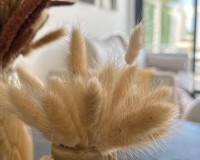 Nybygg - Bungalow - San Fulgencio - Pueblo