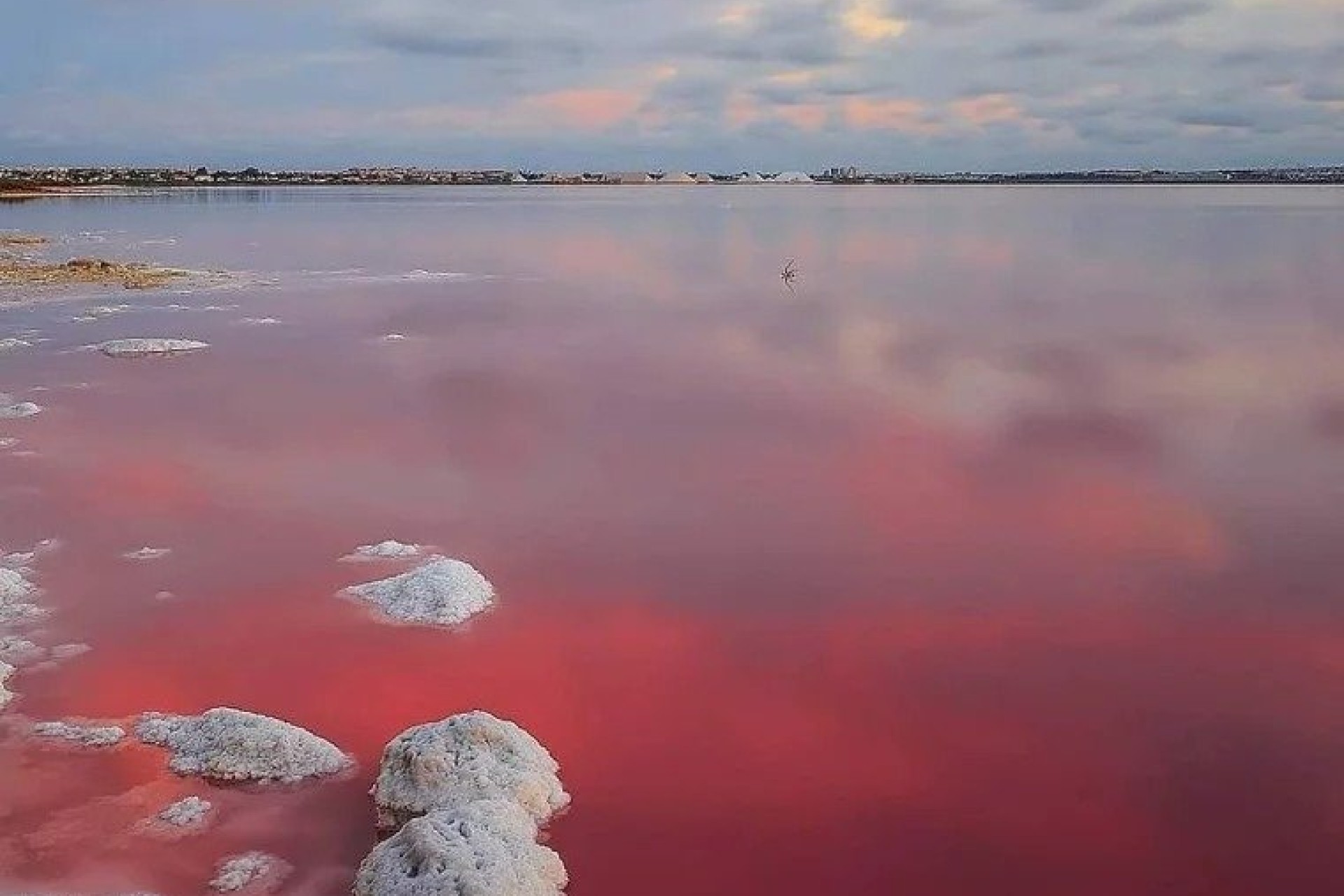 Nybygg - Bungalow - Torrevieja - Lago Jardín II