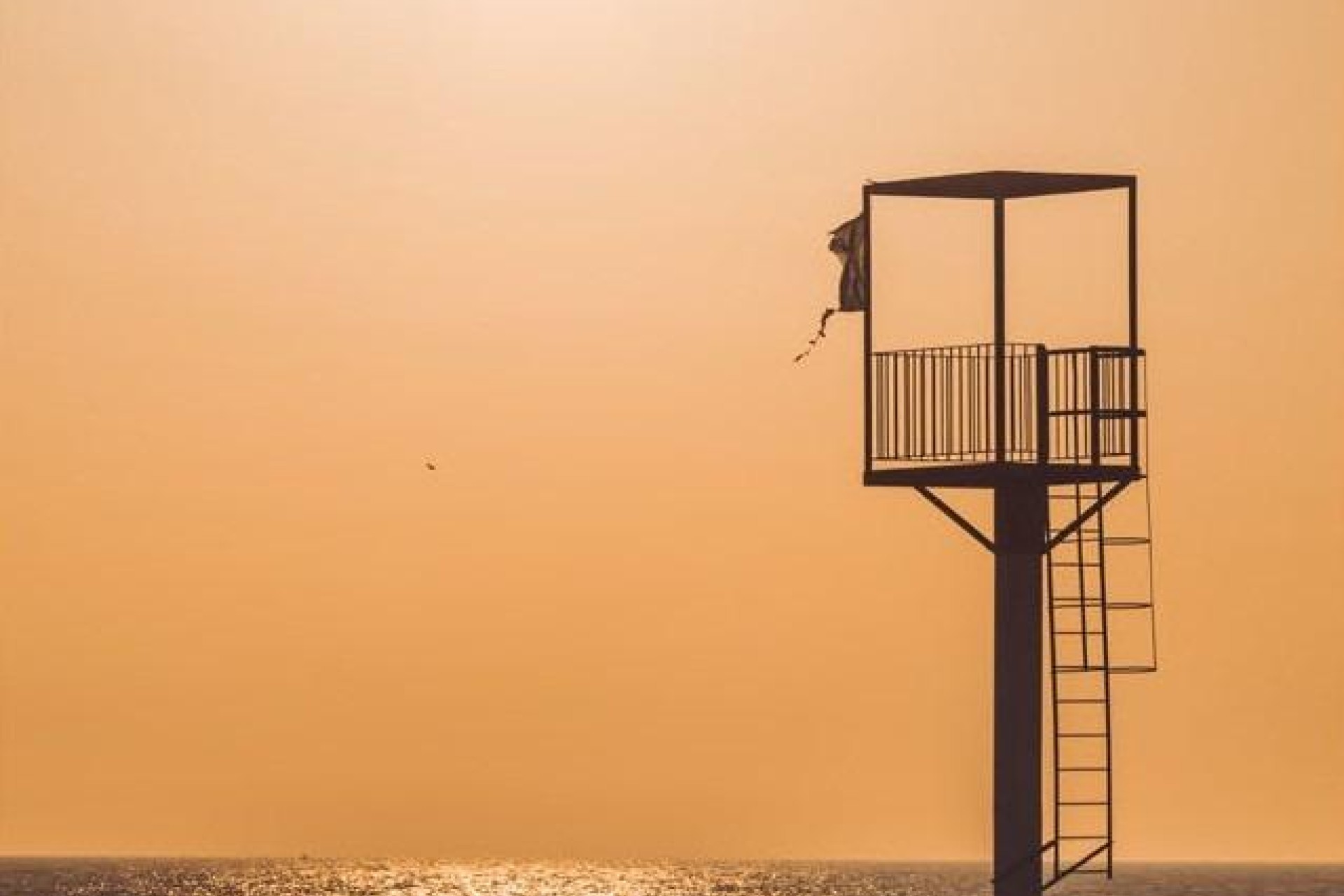 Nybygg - Ground floor apartment - Almerimar