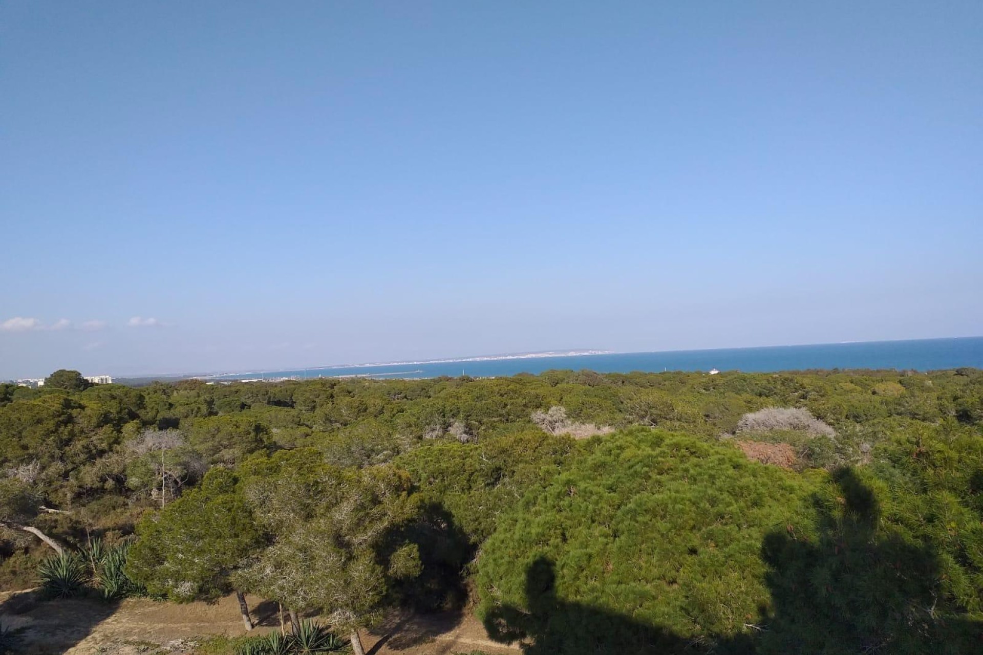 Nybygg - Ground floor apartment - Guardamar del Segura - Pueblo