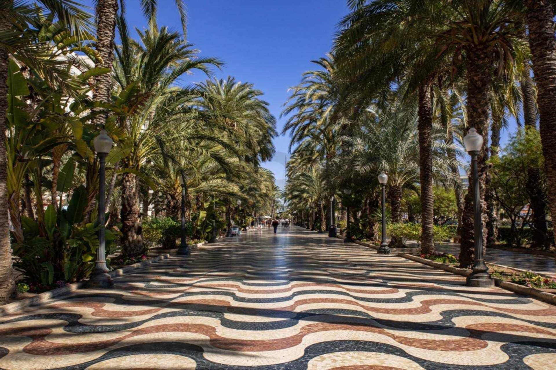 Nybygg - Leilighet - Alicante - Centro