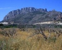 Nybygg - Leilighet - Denia - El Verger