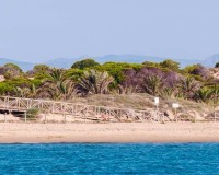 Nybygg - Leilighet - Guardamar del Segura - Pueblo