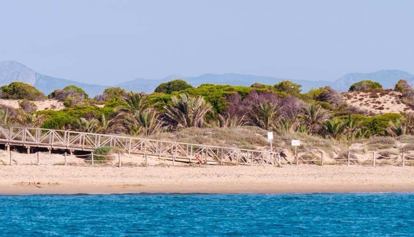 Nybygg - Leilighet - Guardamar del Segura - Pueblo