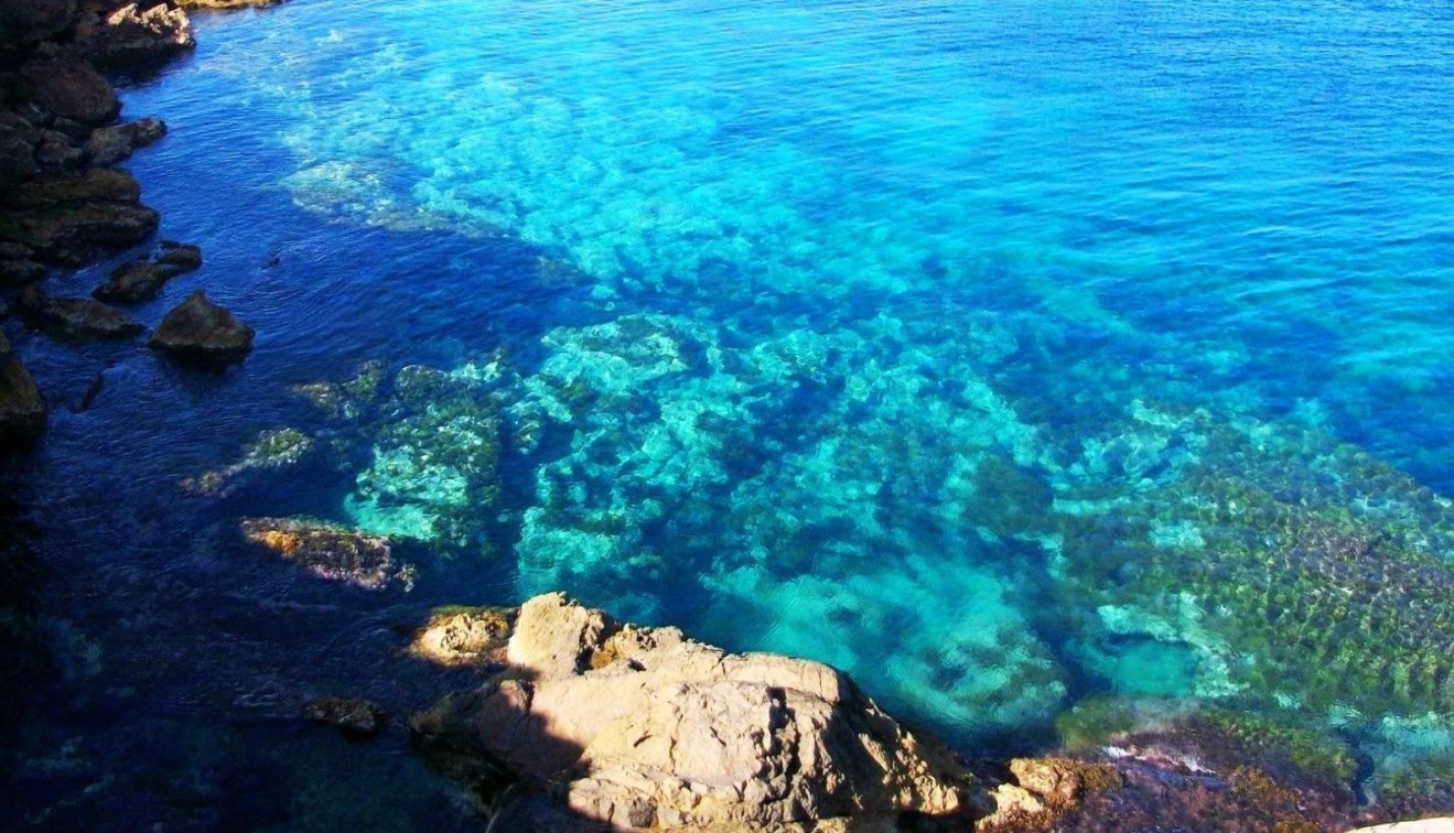 Nybygg - Leilighet - La Manga