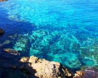 Nybygg - Leilighet - La Manga