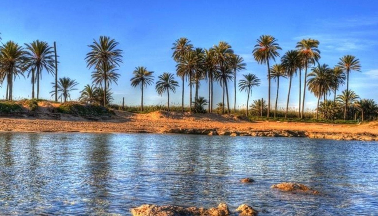 Nybygg - Leilighet - Torrevieja - Playa de El Cura