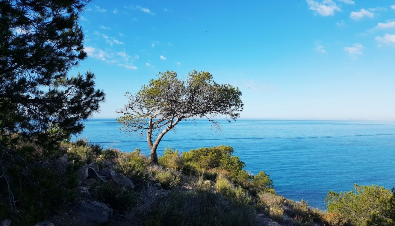 Nybygg - Leilighet - Villajoyosa - Playa Les Torres