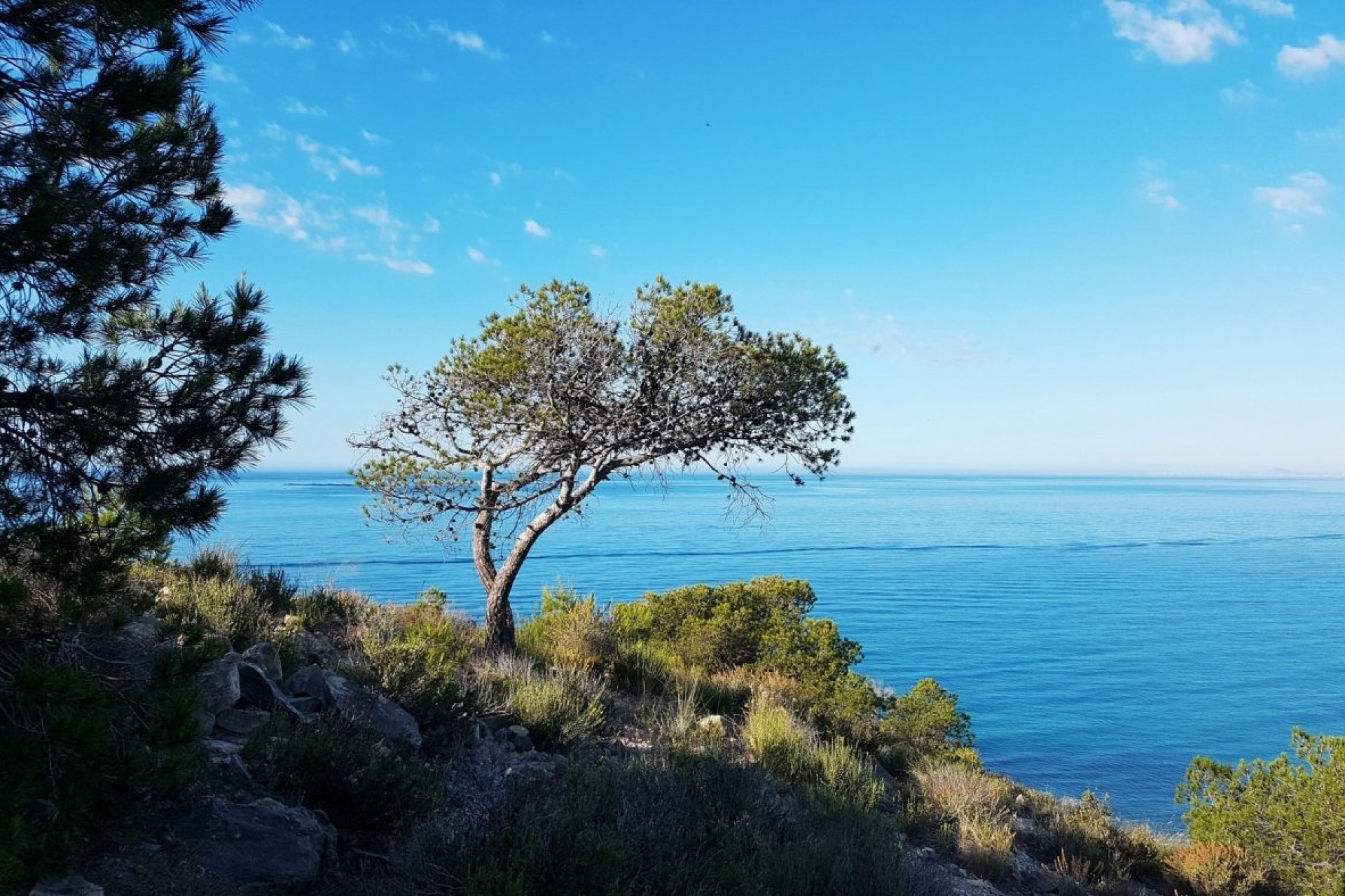 Nybygg - Leilighet - Villajoyosa - Playa Les Torres