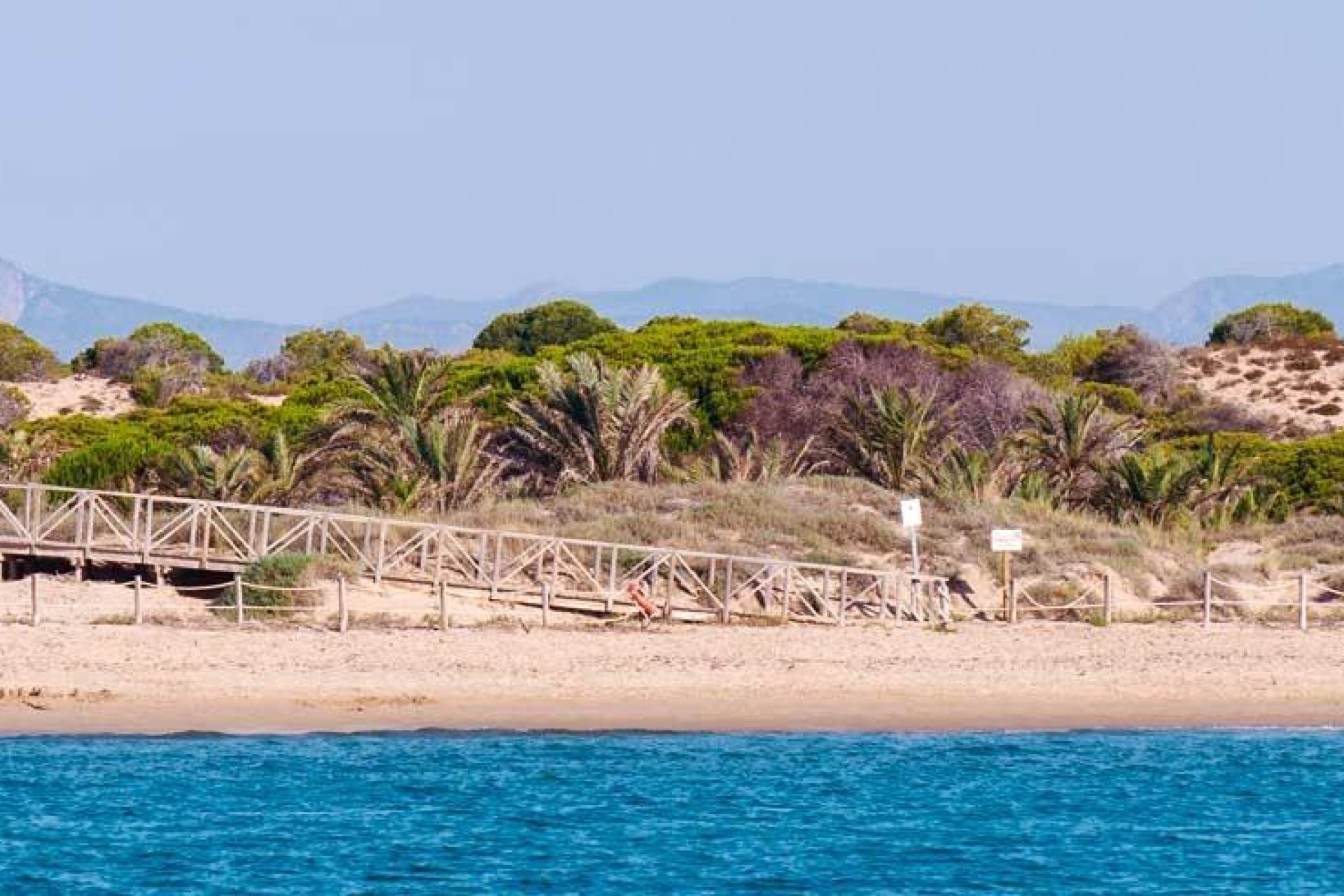 Nybygg - Toppleilighet - Guardamar del Segura - Pueblo