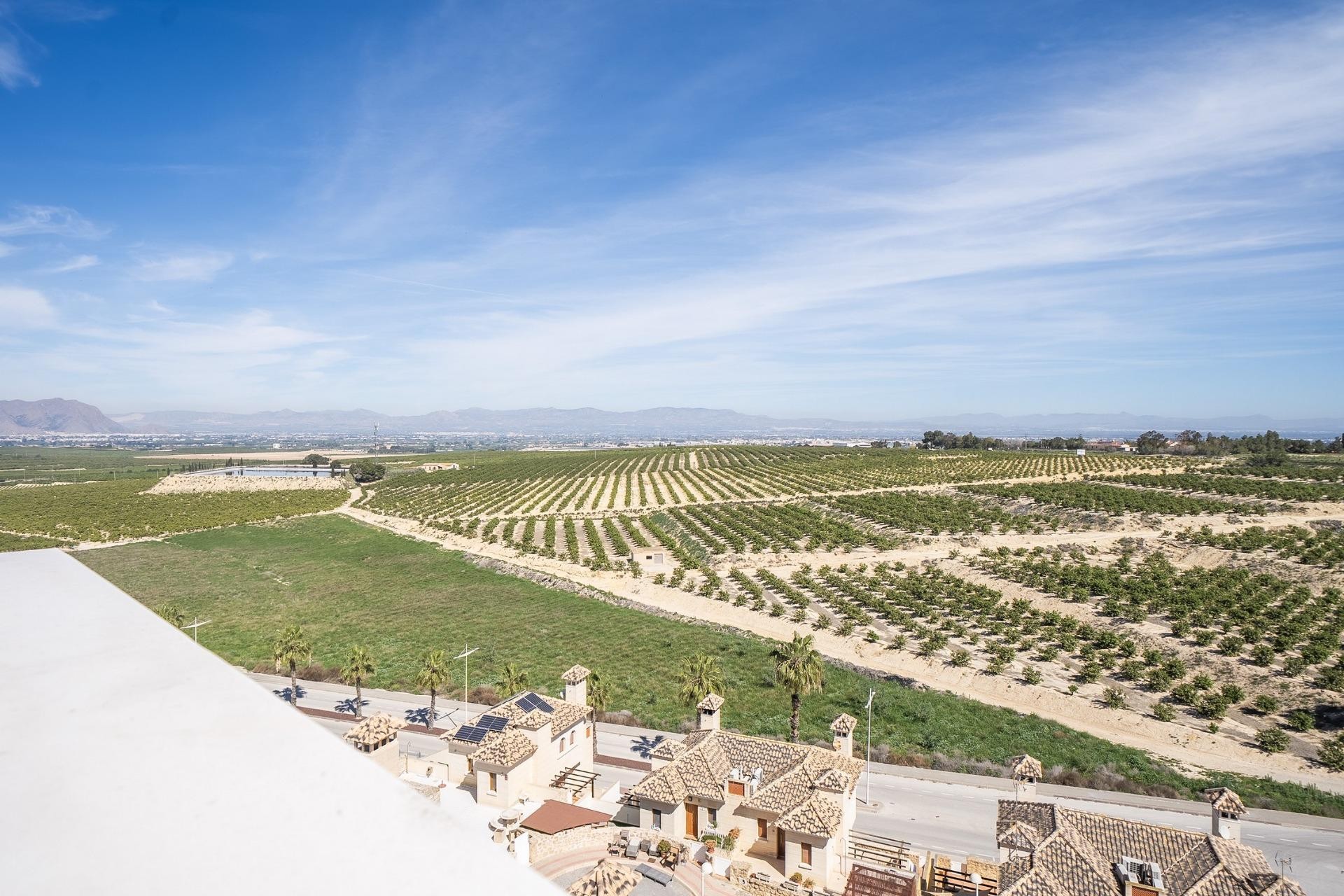 Nybygg - Villa - Algorfa - La finca golf