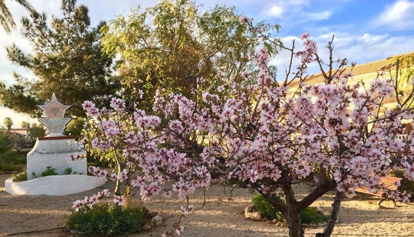 Nybygg - Villa - LOS URRUTIAS - ESTRELLA DE MAR