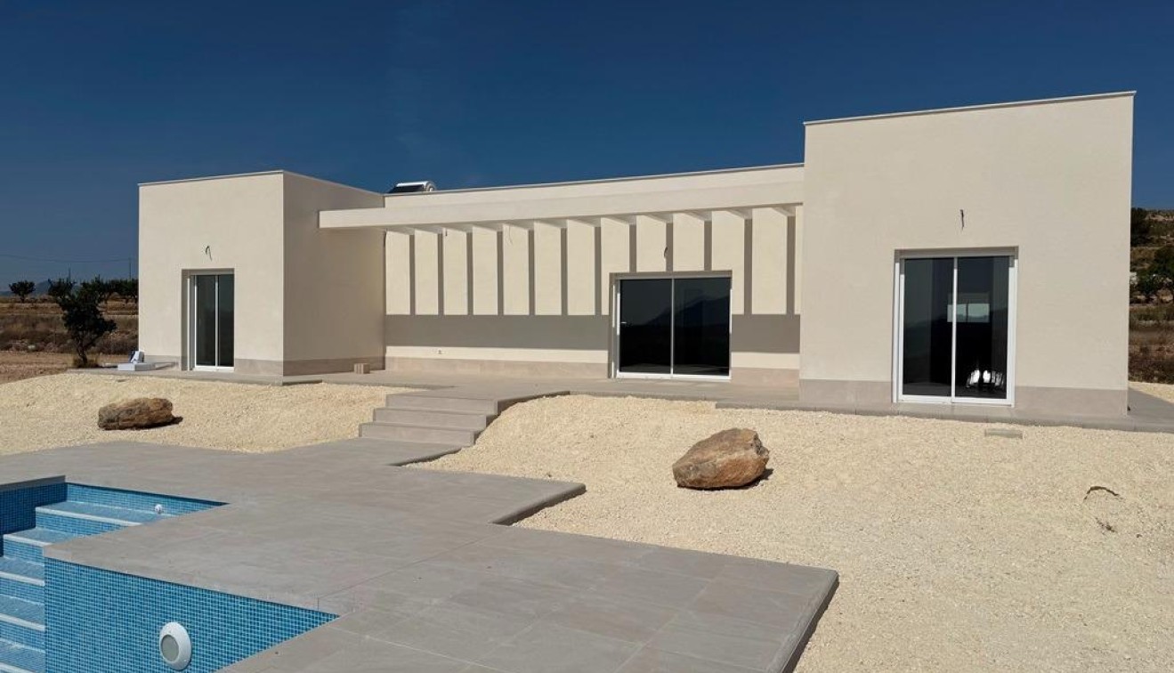 Nybygg - Villa - Pinoso - Camino Del Prado